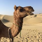 Profile Picture of Donna Campbell (@donnac281) on Instagram