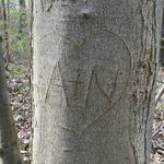 Profile Picture of Nancy Kanera (@nancykanera) on Instagram