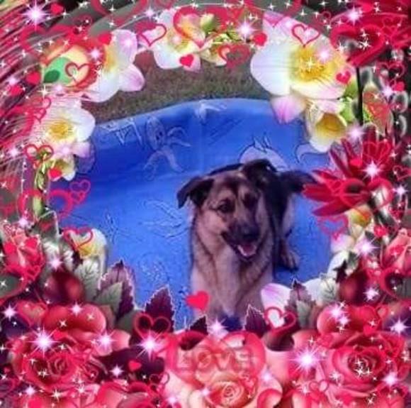 Profile Picture of Sheila Messier (@sheilamessier) on Poshmark