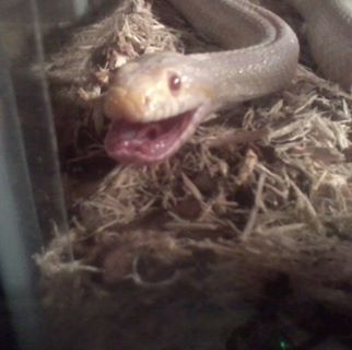 Profile Picture of Robin Sherman (@robin.sherman.560) on Facebook