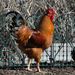 Profile Picture of Kate Boyer (@sodachic) on Pinterest