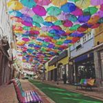 Profile Picture of Daniel Moctezuma (@daniel.moctezuma.507) on Instagram