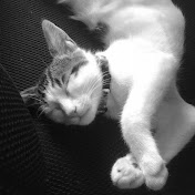 Profile Picture of Tamara Jean (@butterflybeauty420) on Youtube