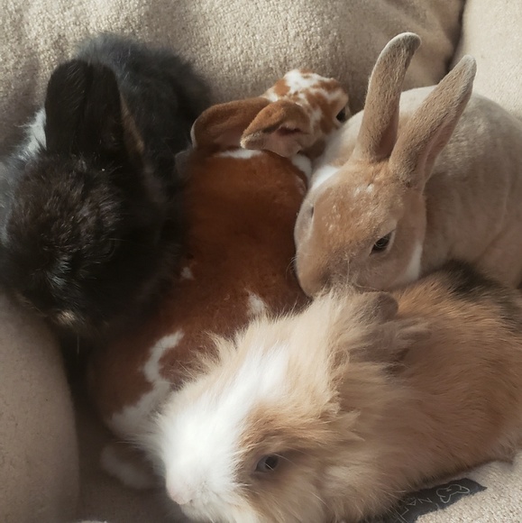 Profile Picture of Zackary Taylor (@taylozac11) on Poshmark