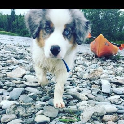Profile Picture of Brad Prosser (@bradj7771990) on Twitter