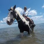 Profile Picture of Terry St Angel-Erickson (@stangelerickson) on Instagram