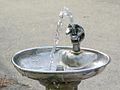 Drinking fountain - Wikipedia - Wikipedia Profile Picture of Drinking fountain - Wikipediaon Wikipedia