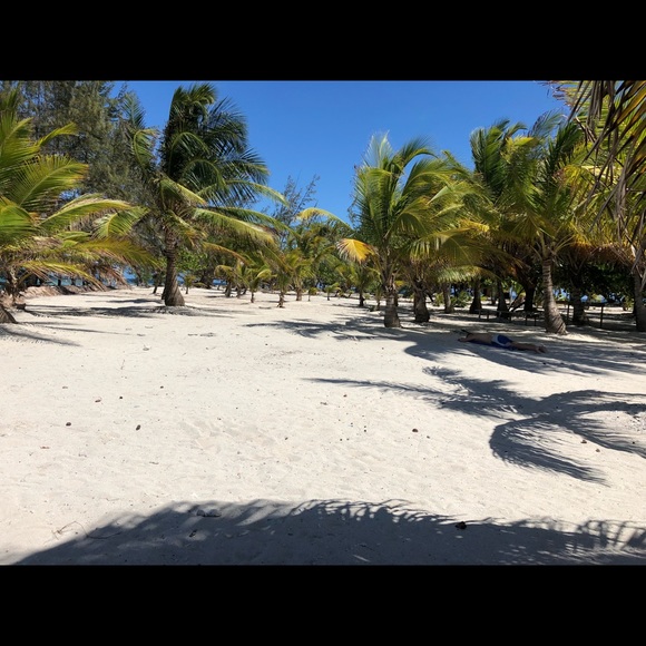 Profile Picture of Blasina Howell (@blasinah) on Poshmark