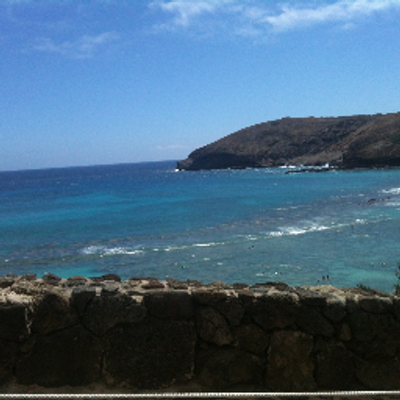 Profile Picture of Catrina James (@CatrinaJames1) on Twitter