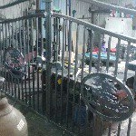 Profile Picture of benniepollard66 (@benniepollard66) on Instagram