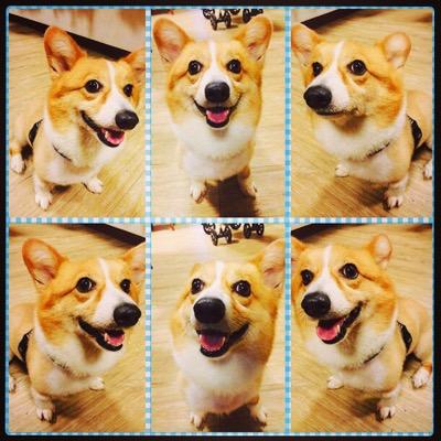 Profile Picture of Ting (@TildaLu1226) on Twitter