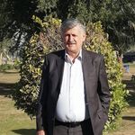 Profile Picture of Raymond Toma (@raymondtoma4) on Instagram