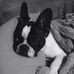 Profile Picture of Michael Waddell (@michael.waddell.583) on Facebook