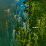 Profile Picture of Imre Kostyak (@dee.other.artist) on Instagram