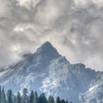 Profile Picture of Swanson (@swansonbrockto) on Instagram