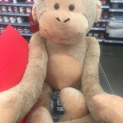 Profile Picture of Trisha Lynn Gottschalk (@TrishaLynnGott1) on Twitter