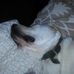Profile Picture of Sherry Lafferty (@sherry.lafferty.1232) on Facebook