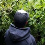 Profile Picture of Ed Hogan (@502sourcing) on Instagram