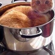 Profile Picture of Luz Tabares (@luz.tabares.9) on Myspace