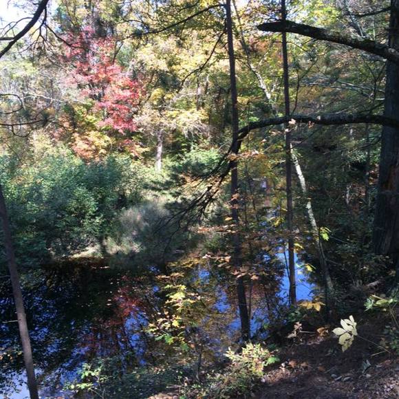 Profile Picture of Betsy Lindvig (@5131) on Poshmark