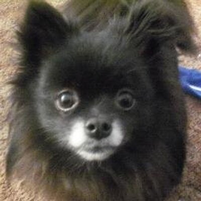 Katie Straw - Twitter Profile Picture of Katie Straw (@StrawKatie) on Twitter