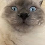 Profile Picture of Heather Vulcano (@heathervulcano_x) on Instagram