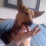 Profile Picture of David Lauckner (@David-Lauckner) on Facebook