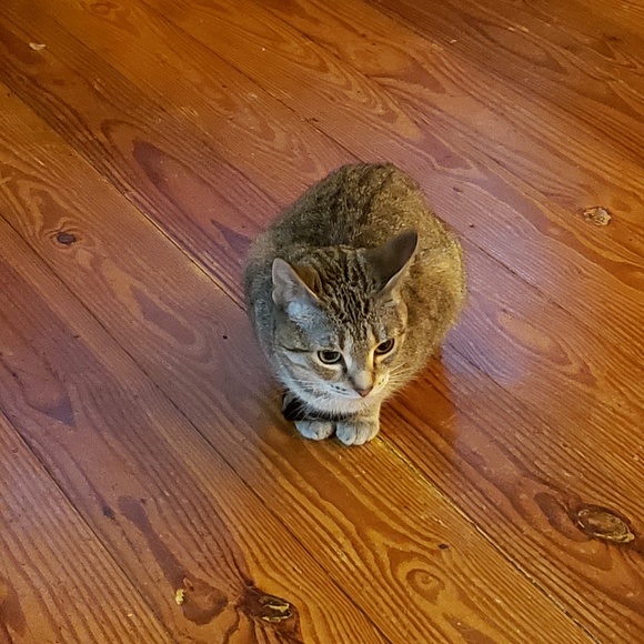 Profile Picture of Cindy Alexander (@cindy76kay) on Poshmark