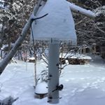 Profile Picture of Cindy Coffen (@silvervalleygirl) on Instagram