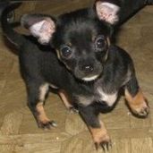 Profile Picture of Marlinia Hodges (@marlinia) on Pinterest