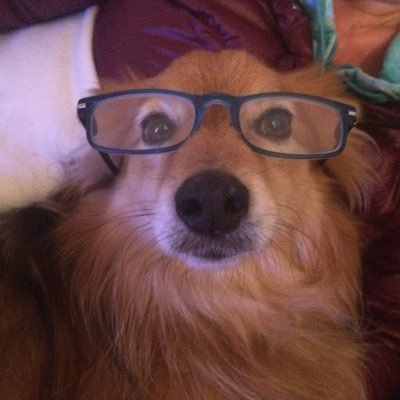 Profile Picture of Eva Ryan (@Evaryan06388035) on Twitter