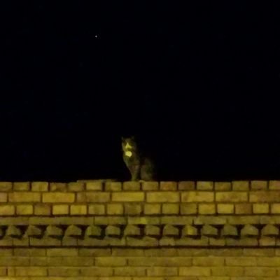 Profile Picture of Sebastián Melo (@SebastianMeAg) on Twitter