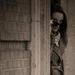 Profile Picture of Devonie Royal-Gordon (@devrogo) on Pinterest