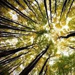 Profile Picture of michael_kreuzer (@michael_kreuzer7) on Instagram