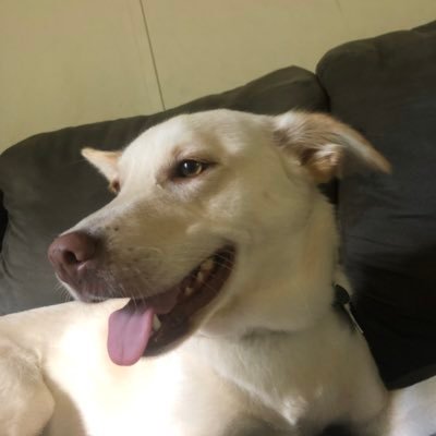 Profile Picture of Anson Phillips (@AnsonPhillips3) on Twitter