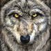 Profile Picture of Ben Haddock (@ben.haddock.5494) on Facebook