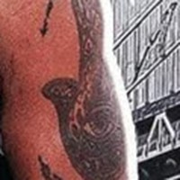 James Kollar - Quora Profile Picture of James Kollar (@james-kollar-4) on Quora