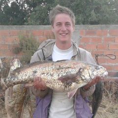 Profile Picture of Kevin Graff (@kevin.graff0) on Tiktok