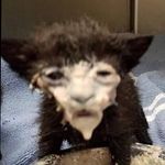 Profile Picture of Wyatt Fitzgerald (@fightergrapes) on Instagram