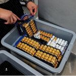 Profile Picture of Jacqueline Meisel (@jacqueljine_meisel) on Instagram