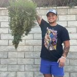 Profile Picture of Marcus Pacheco (@marpachecocus) on Instagram