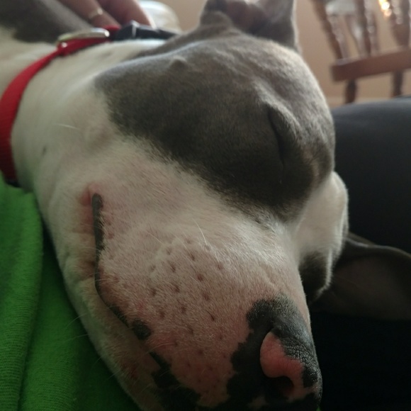 Nikki Heruth - Poshmark Profile Picture of Nikki Heruth (@nheruth) on Poshmark