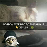 Profile Picture of Richard Bickham (@richard-bickham-1) on Quora