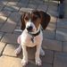 Profile Picture of Claudia McGurk (@cdmcgurk) on Pinterest