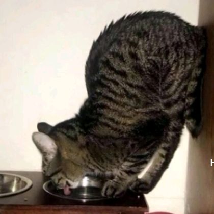 Profile Picture of RAG_DAYS (@anonimus6983) on Tiktok