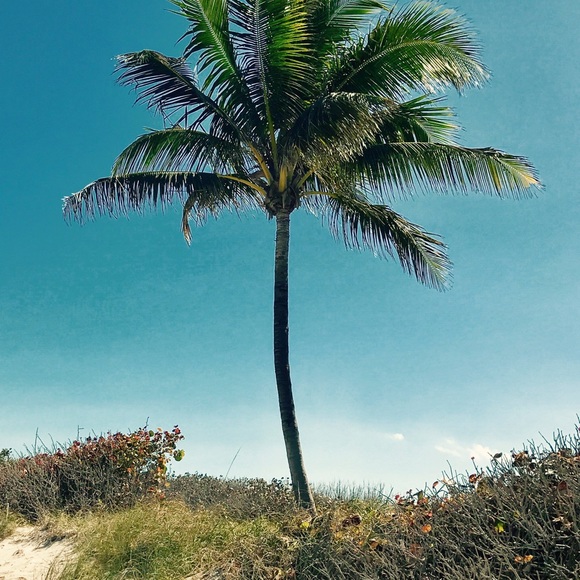 Profile Picture of Stephanie Mack (@stephmack22) on Poshmark