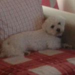 michael luxton - Instagram Profile Picture of michael luxton (@micklux79) on Instagram