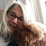 Profile Picture of Pam Stevens (@pamelarose.s) on Instagram