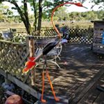 Profile Picture of randy felty (@felty.randy) on Instagram