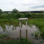 Profile Picture of Jimmy Manguera (@Jimmy-Manguera) on Facebook